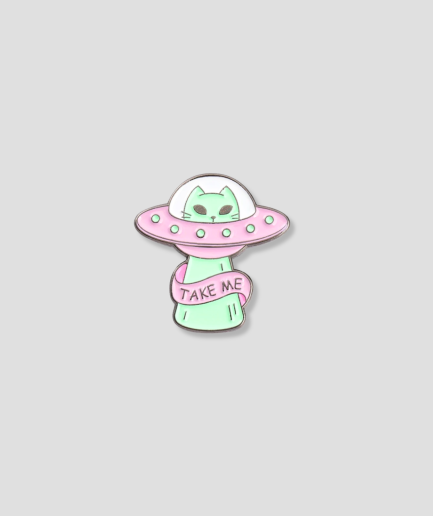 cute brooch