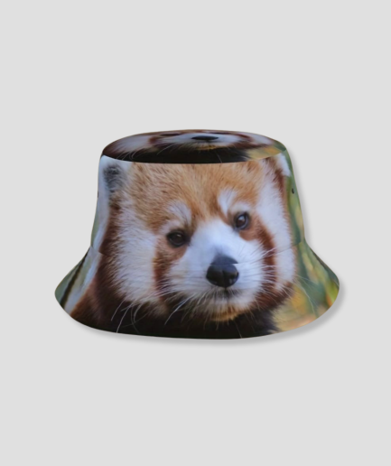 Raccoon or Something like That