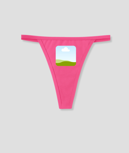 your-own-photo-on-a-pink-thong.png