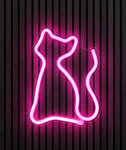 Kitty Neon Neon Lights